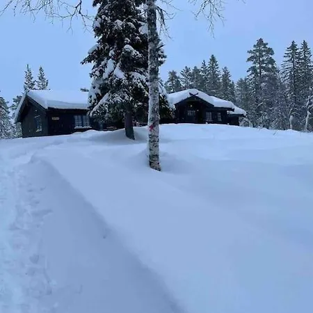Mountainhome Norefjell *