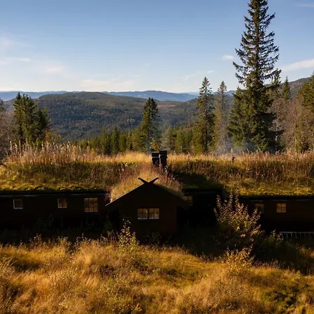 Mountainhome Norefjell