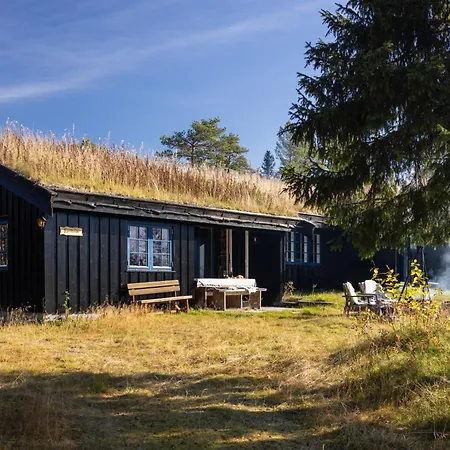 Mountainhome Norefjell *