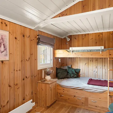 Mountainhome Norefjell