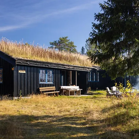 Mountainhome Norefjell *